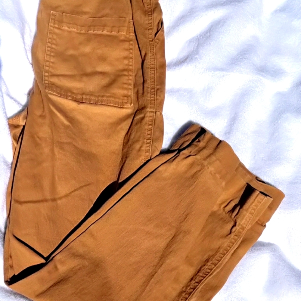 Tilly's Burnt orange cargo pants